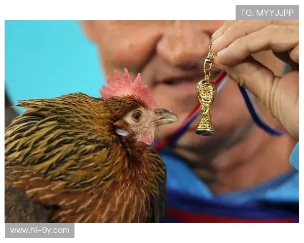 围绕虎足球球员绰号来源解析其赛场传奇故事与成长历程全景展现录